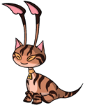 A brown aisha with tabby cat markings. It's sitting and facing towards the left